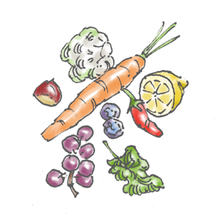 Colori, gusti e consistenze – lezione 1
